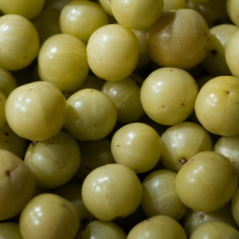 Bálsamo/grasa Indian Growth Neem & Curry con 67 ingredientes, jengibre azul, cola de caballo y shatavari. Fortalece, hidrata y ayuda a combatir la sequedad y la descamación del cuero cabelludo. imagen 5