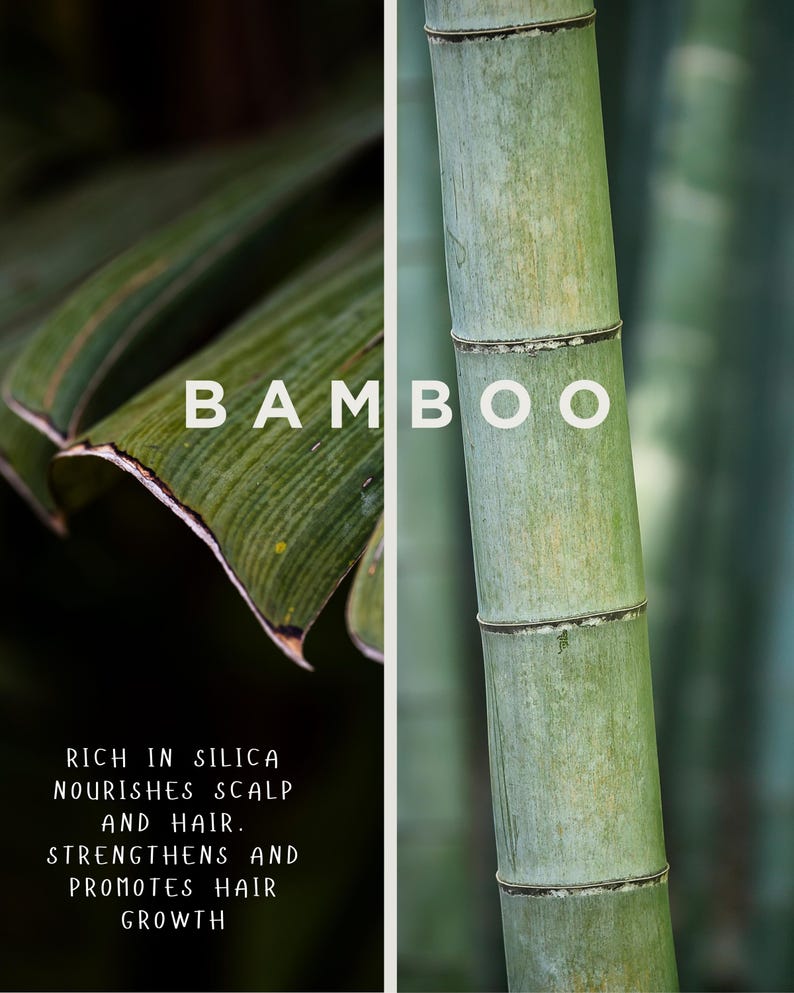 May include: A split image featuring bamboo. The left side shows a close-up of a green leaf with the text "BAMBOO". The right side displays a green bamboo stalk. Text below reads: "RICH IN SILICA NOURISHES SCALP AND HAIR. STRENGTHENS AND PROMOTES HAIR GROWTH."