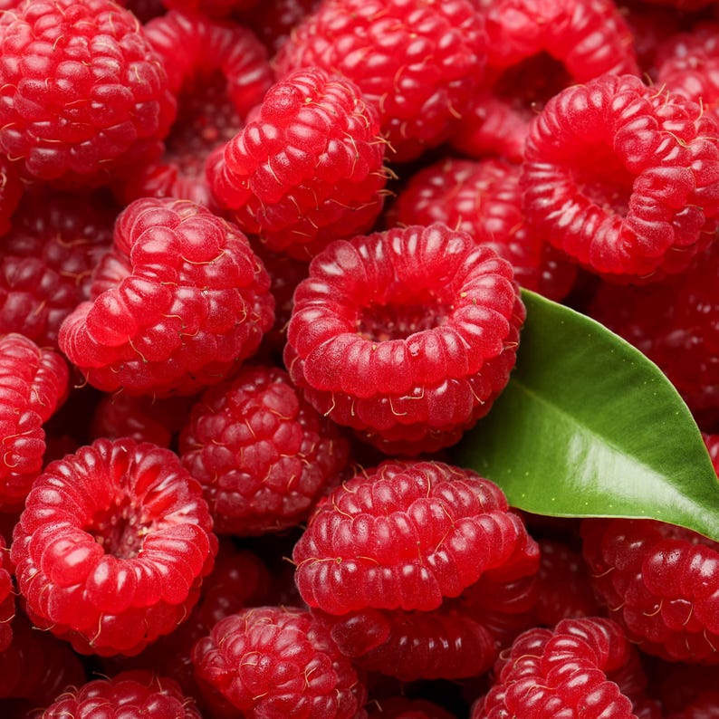 Puede incluir: Primer plano de un mont&oacute;n de frambuesas frescas y maduras. Las bayas son de un color rojo vibrante, con una superficie texturizada y una forma delicada. Una sola hoja verde es visible entre las bayas, a&ntilde;adiendo un toque de contraste.