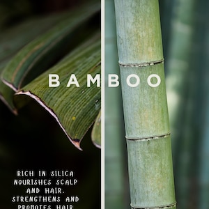 ARGAN BANANA OJON Hair Mask with Chickpea & Keratin Strengthen + Repair Conditioner image 4