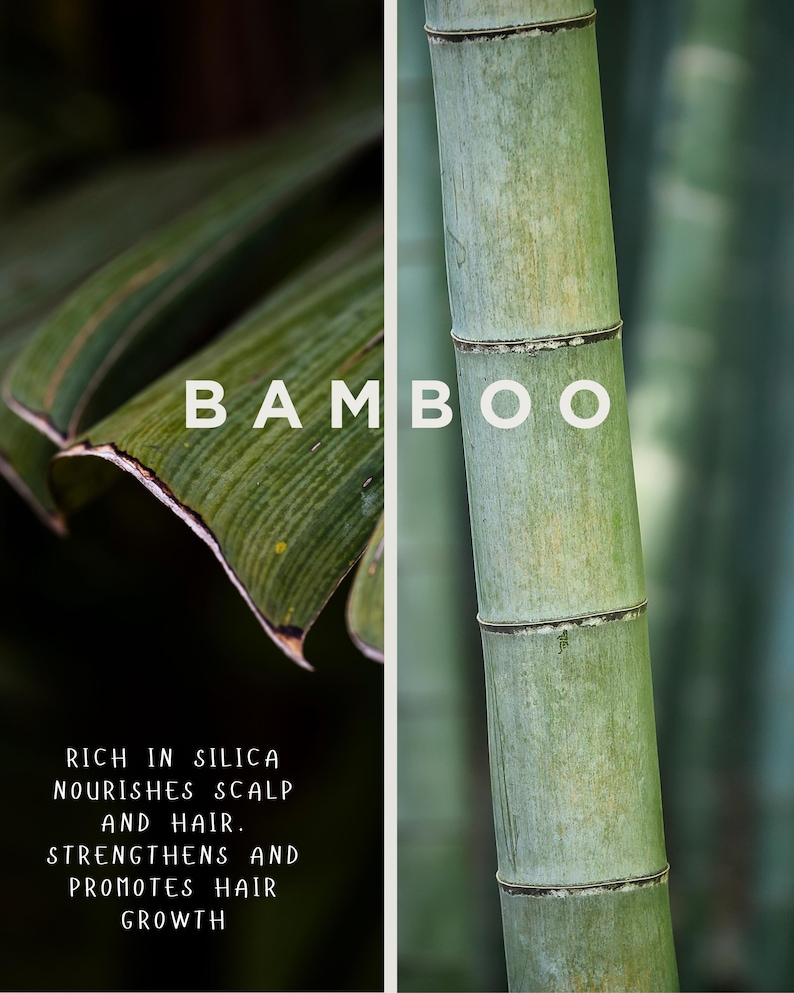 ARGAN BANANA OJON Hair Mask with Chickpea & Keratin Strengthen + Repair Conditioner image 4