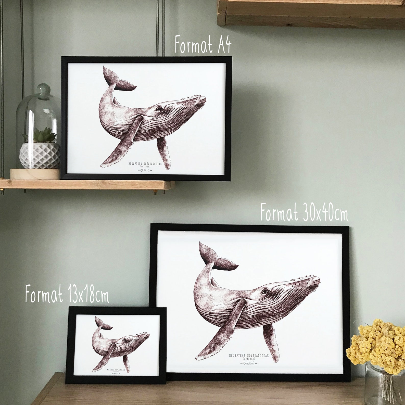 BALEINE - affiche décorative, mammifère marin, illustration à l'encre ...