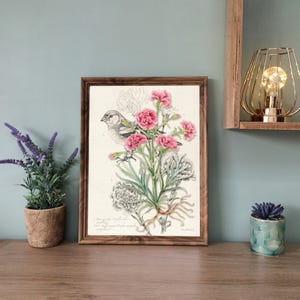 CLAVEL - ilustración botánica en acuarela, póster decorativo, impresión artística, idea de regalo, ilustración de herbario