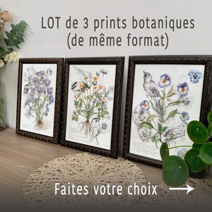 3er-Set A4-Plakate – Kunstdrucke, Aquarellillustrationen und Zeichnungen