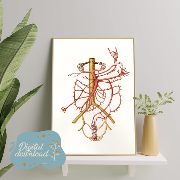 Blood vessels art, Human body art, Human Organs, anatomy poster, Watercolor Painting, Digital Download, Wall Art, printable, medical, decor