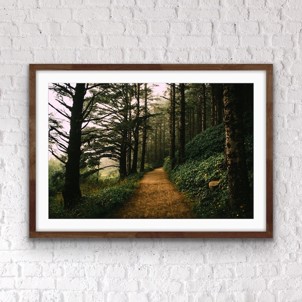 DIGITAL DOWNLOAD Oregon Forest Print - Wall Decor - Printable Landscape Photography