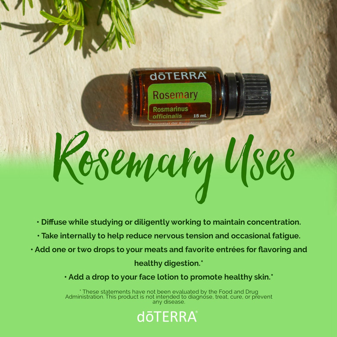 Rosemary Essential Oil doTERRA Focus Concentration Aid Etsy