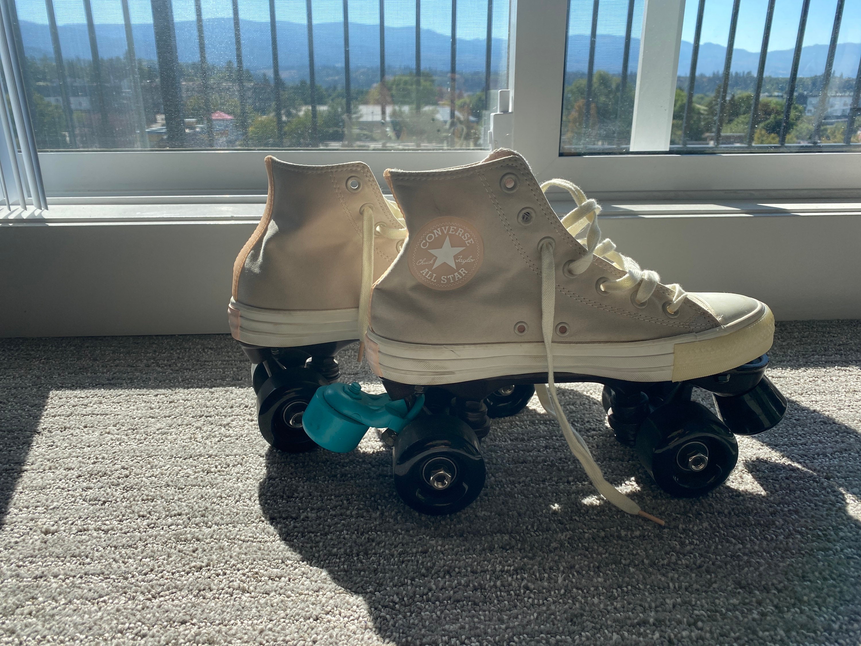 Sneaker Skates - Etsy