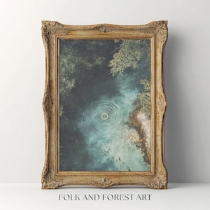 Puede incluir: Una impresión artística enmarcada en un marco dorado ornamentado, que representa una vista aérea tranquila de agua con ondas, enmarcada por árboles. El texto "FOLK AND FOREST ART" está en la parte inferior del marco.