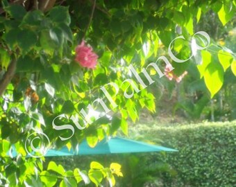 Pink Flower Printable Wall Art (Digital Download)