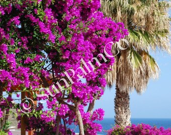 Tropical Flower Beach Art Print, Coastal Wall Decor (Digital Download)