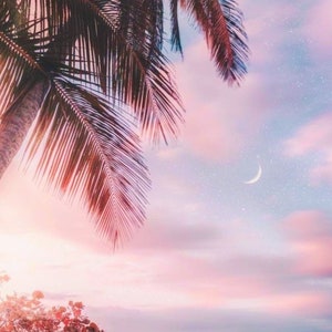 Palm Tree Printable Wall Art, Print, Coastal Printable, Tropical Print, Printable Wall Art, Palm Tree Print Download, Beach Prints Wall Art