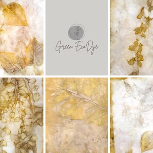 Puede incluir: Colección de impresiones artísticas botánicas con huellas de hojas en tonos dorados, marrones y blancos. Las impresiones muestran diversas formas y texturas de hojas. El texto "Green Eco Dye" es visible.