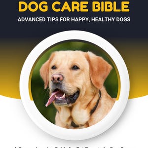 Dog Care Bible: Training, Nutrition, Health, Activities (PDF eBook)