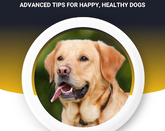 Dog Care Bible: Training, Nutrition, Health, Activities (PDF eBook)