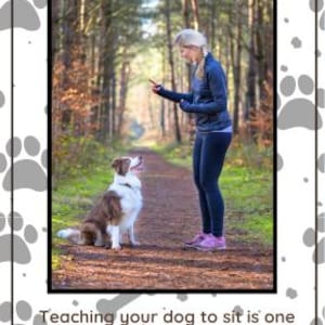 Flashcards abrangentes de treinamento de cães | 50 comandos e truques para todos os donos de cães | Guia de treinamento de cães em PDF para impressão