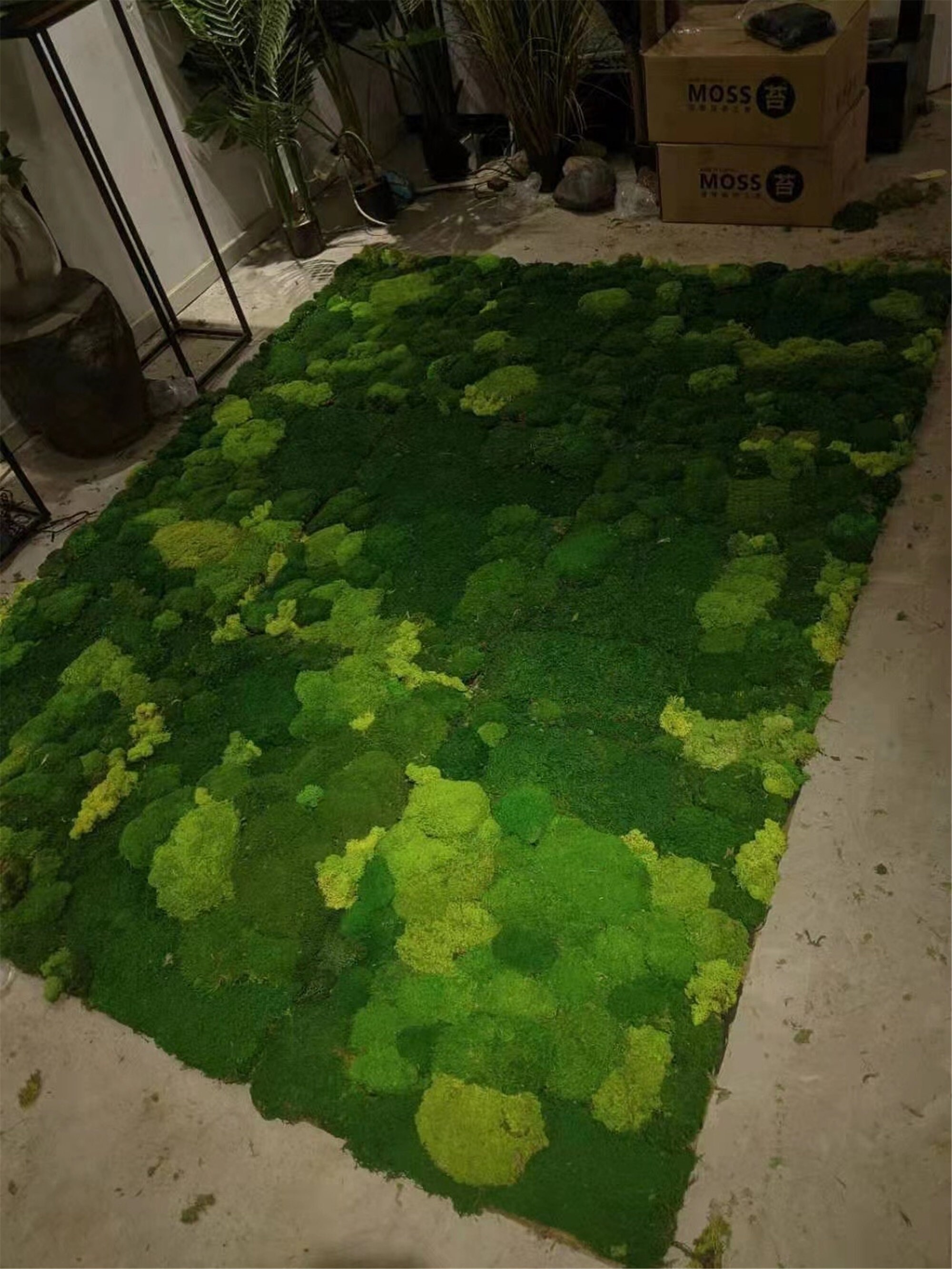 Wholesale Preserved Moss Terrariums Moss Houseplants Fairy Etsy