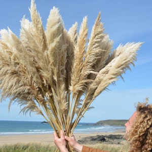 May include: A large bouquet of dried pampas grass with fluffy, feathery plumes in shades of beige and white. The grass is held in front of a beach scene with blue water and a sandy shore.