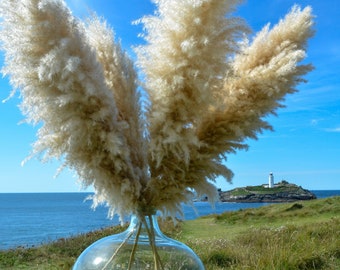 Creamy White Fluffy Pampas Grass 110cm