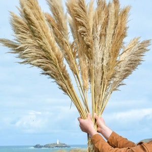 May include: A bouquet of dried pampas grass with natural beige and brown tones. The grass is held by a person's hands, with a lighthouse and ocean in the background.