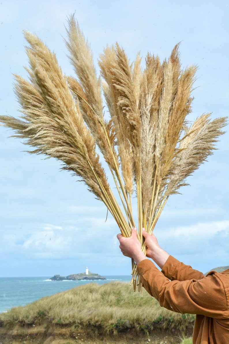 May include: A bouquet of dried pampas grass with natural beige and brown tones. The grass is held by a person's hands, with a lighthouse and ocean in the background.