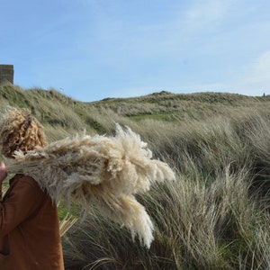 May include: A person with curly hair carries a large bundle of dried pampas grass in a grassy field. The grass is a light beige color and the person is wearing a brown jacket.