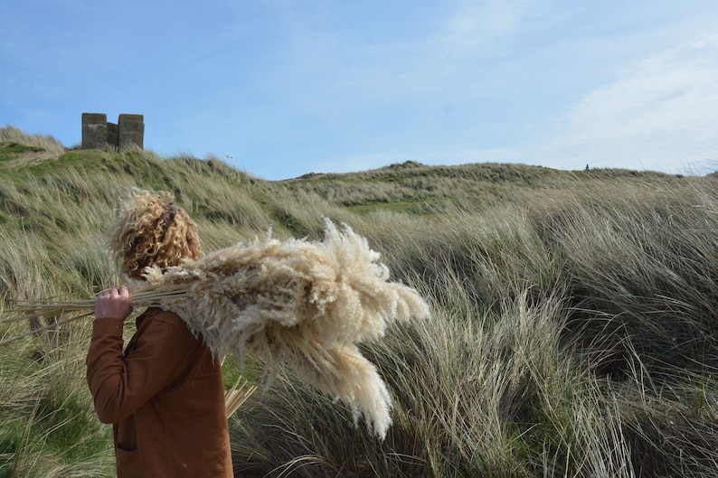 May include: A person with curly hair carries a large bundle of dried pampas grass in a grassy field. The grass is a light beige color and the person is wearing a brown jacket.