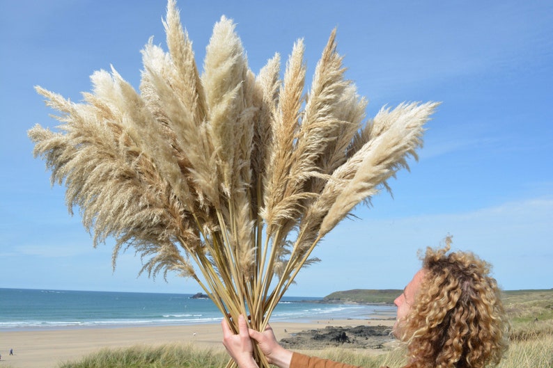 May include: A large bouquet of dried pampas grass with fluffy, feathery plumes in shades of beige and white. The grass is held in front of a beach scene with blue water and a sandy shore.