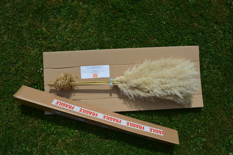 May include: A large, fluffy, dried pampas grass plume in a natural off-white color is packaged in a cardboard box with the word "FRAGILE" printed on the box. The grass is tied with blue ribbon and is ready to be shipped.