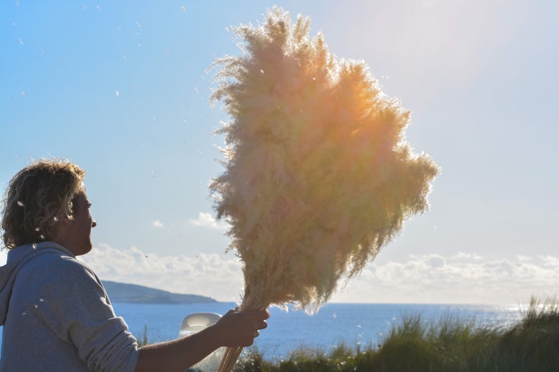 May include: A person holds a large bouquet of dried pampas grass with fluffy white plumes against a blue sky and ocean background.