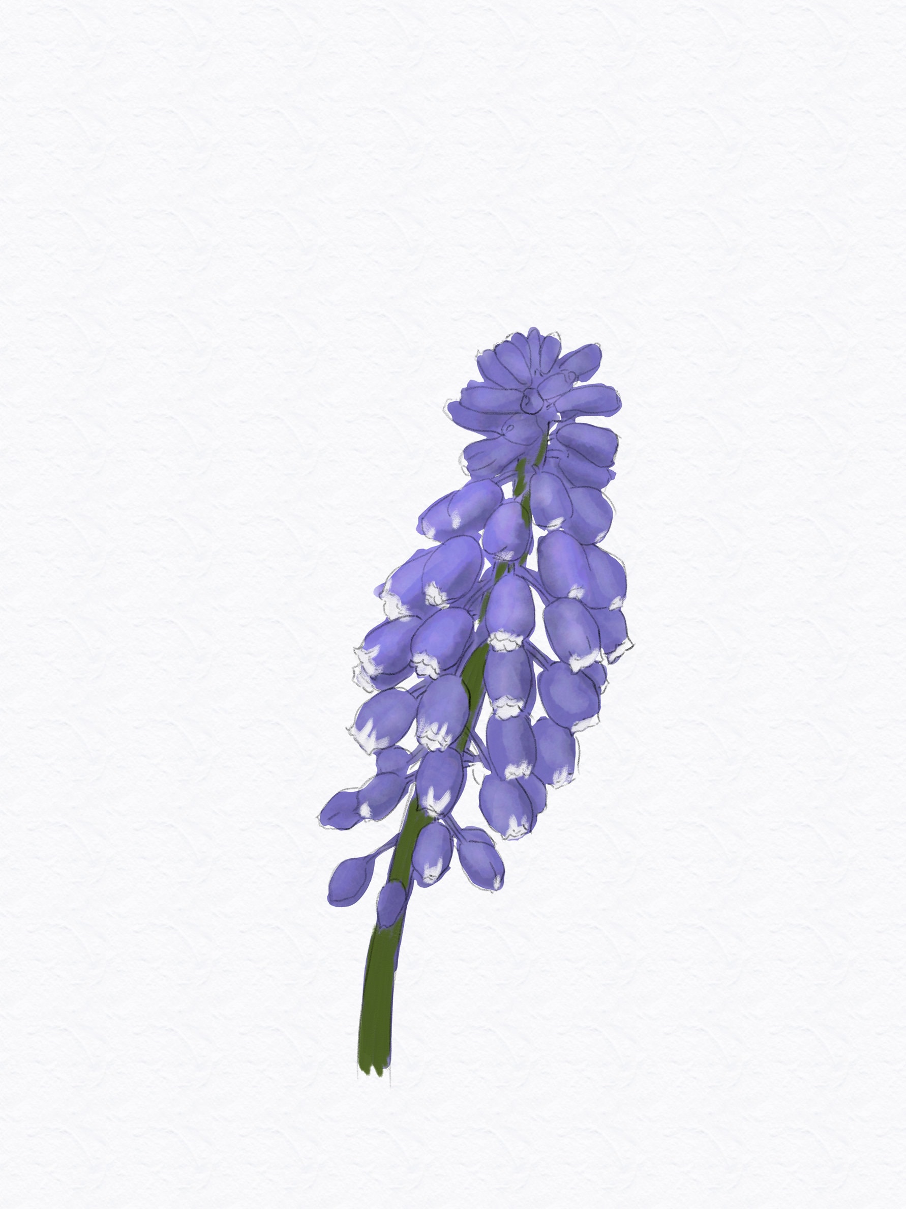 Watercolor Flower Prints Set of 3 Gallery Wall Art Wild Etsy UK