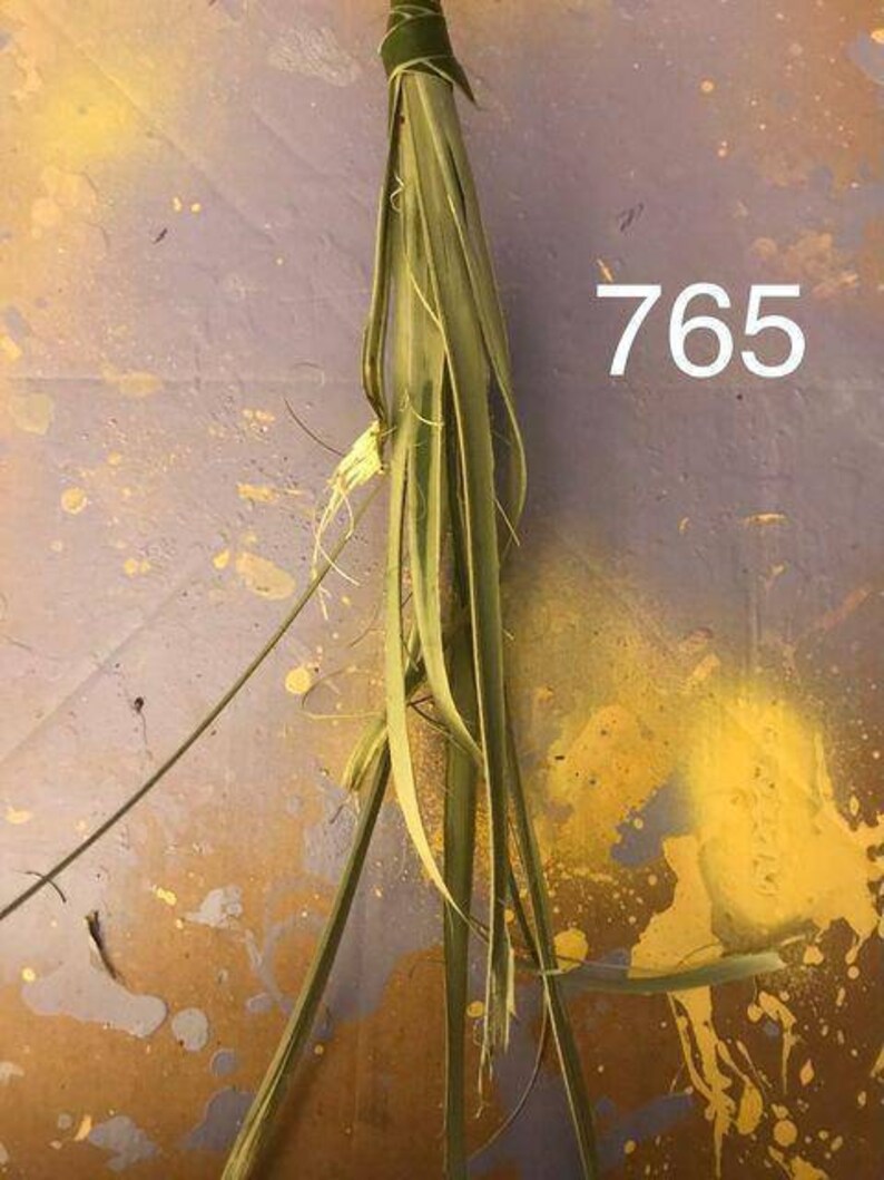 Handmade Seven Gold Dried Roses handcrafted with Palmetto Palm Tree Leaf