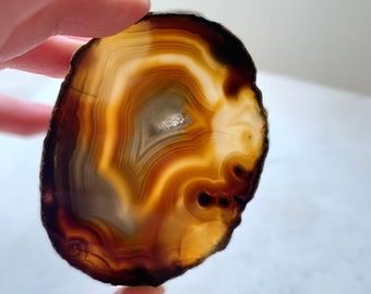 May include: A brown agate slice with a white and gray center. The agate has a natural, organic shape and is translucent.