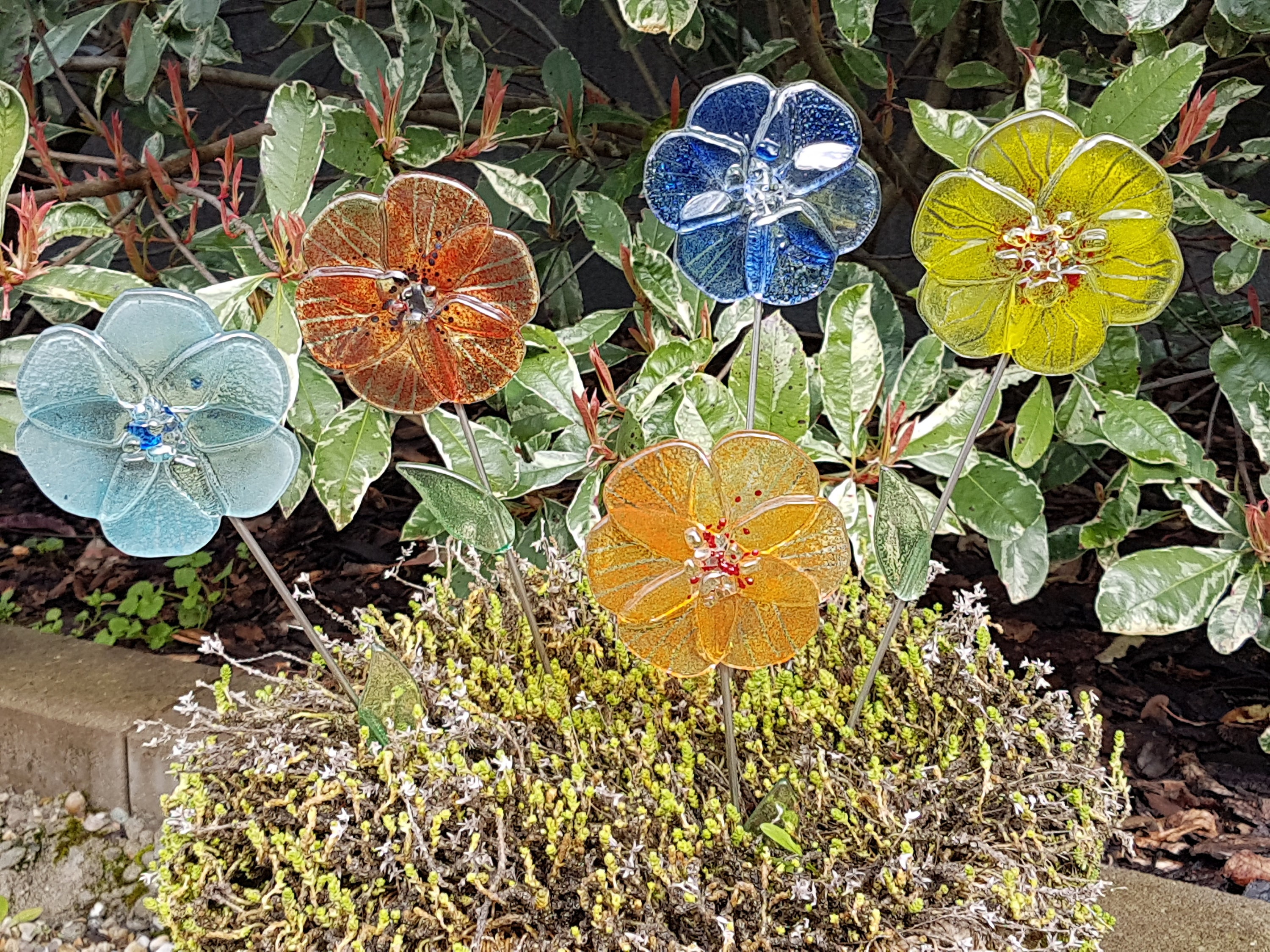 Fleur, Coquelicot, Anémone, en Verre à Planter Exterieur-Intérieur 35cm