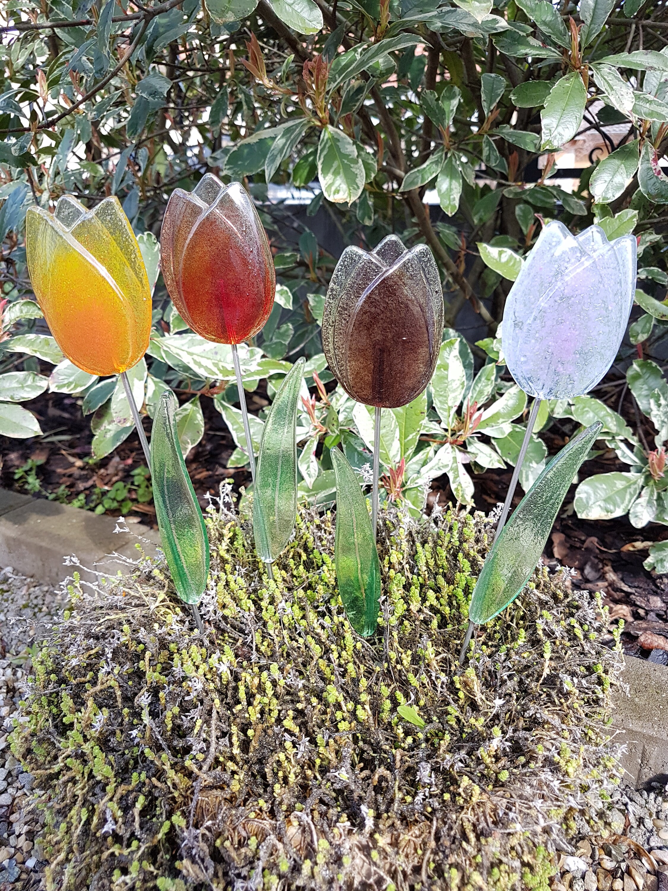 Fleur Tulipe en Verre à Planter Exterieur-Intérieur 35cm