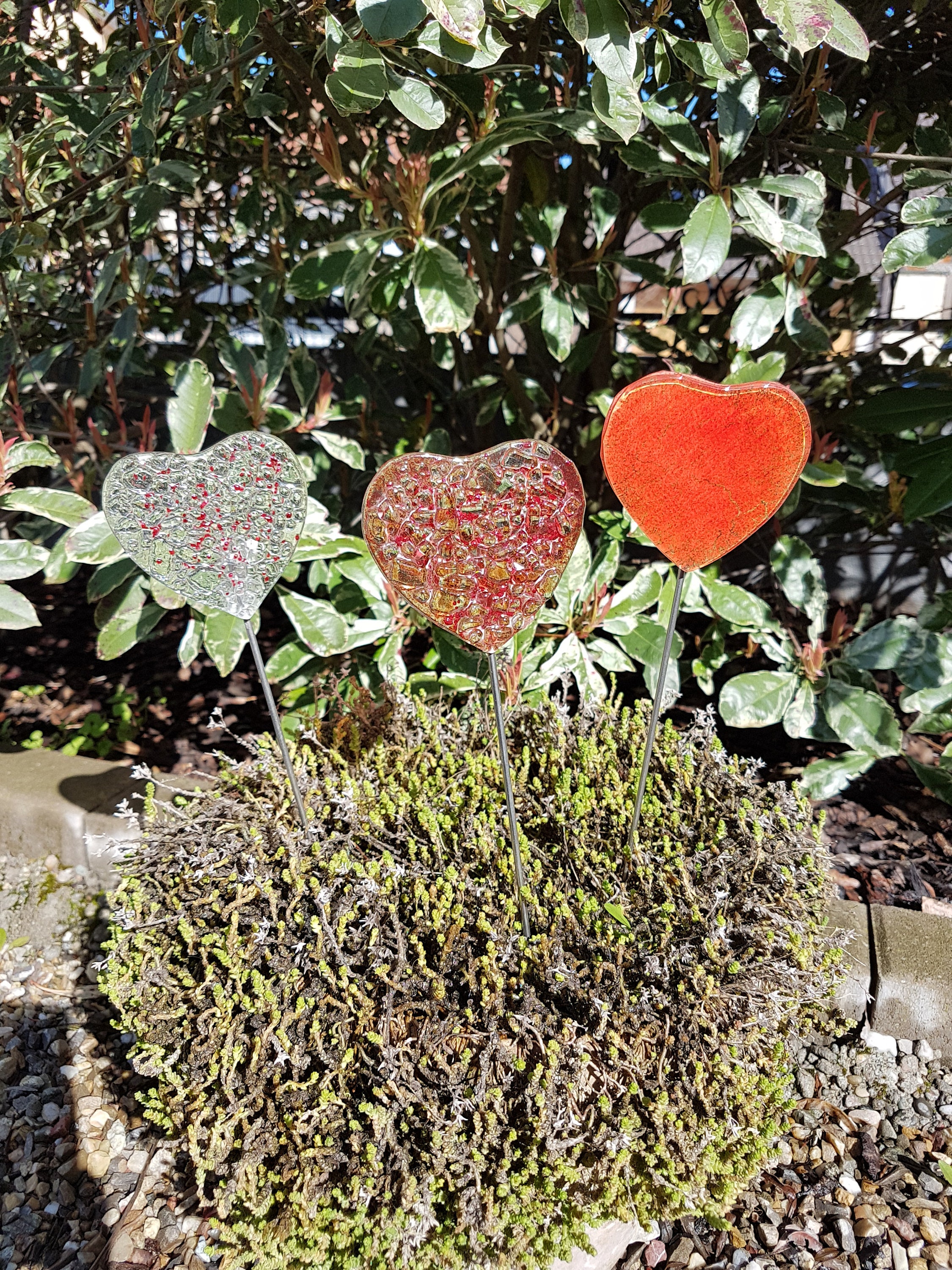 Coeur en Verre à Planter Exterieur-Intérieur 35cm