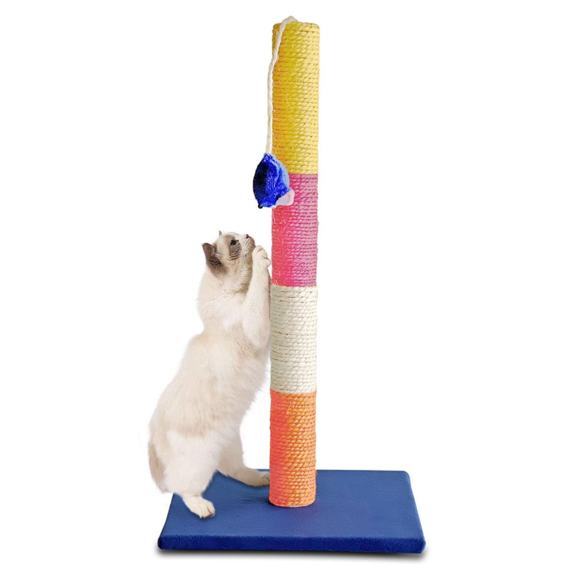 catnip scratching post