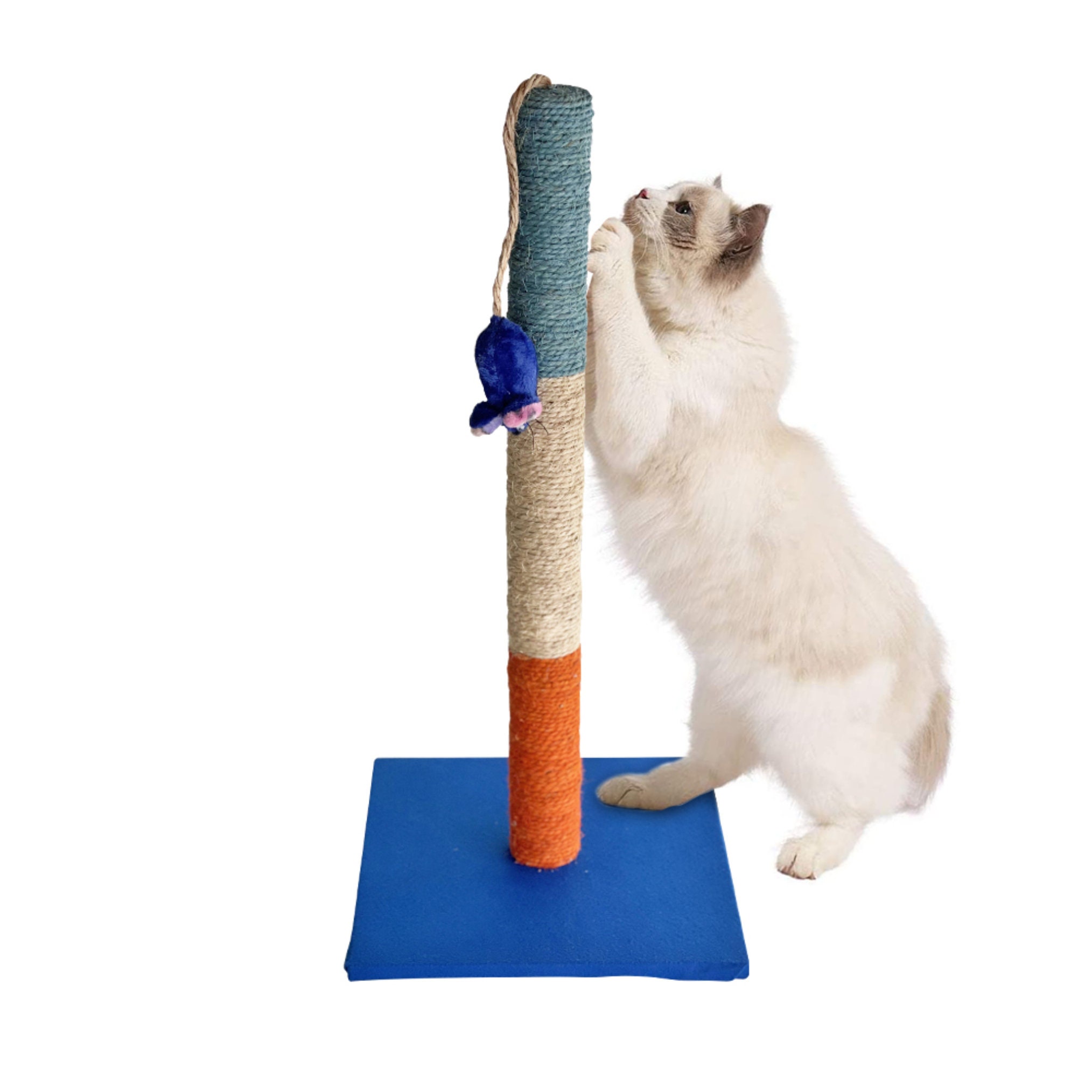 catnip scratching post