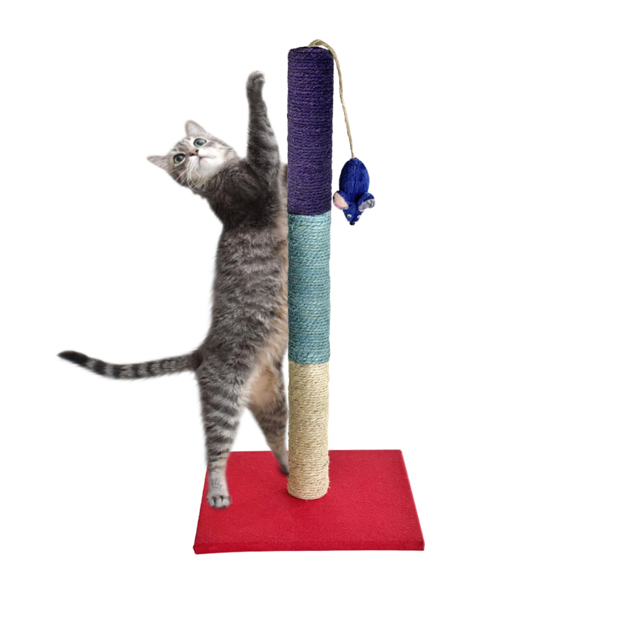 catnip scratching post