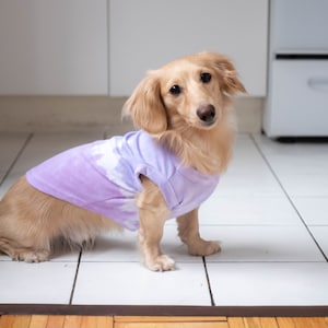 Ombre Purple Dog T-Shirt Tie Dye