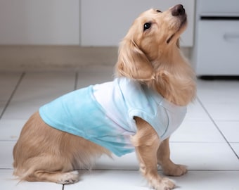 Ombre Teal Dog T-Shirt Tie Dye