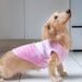 see more listings in the Dog Clothes section