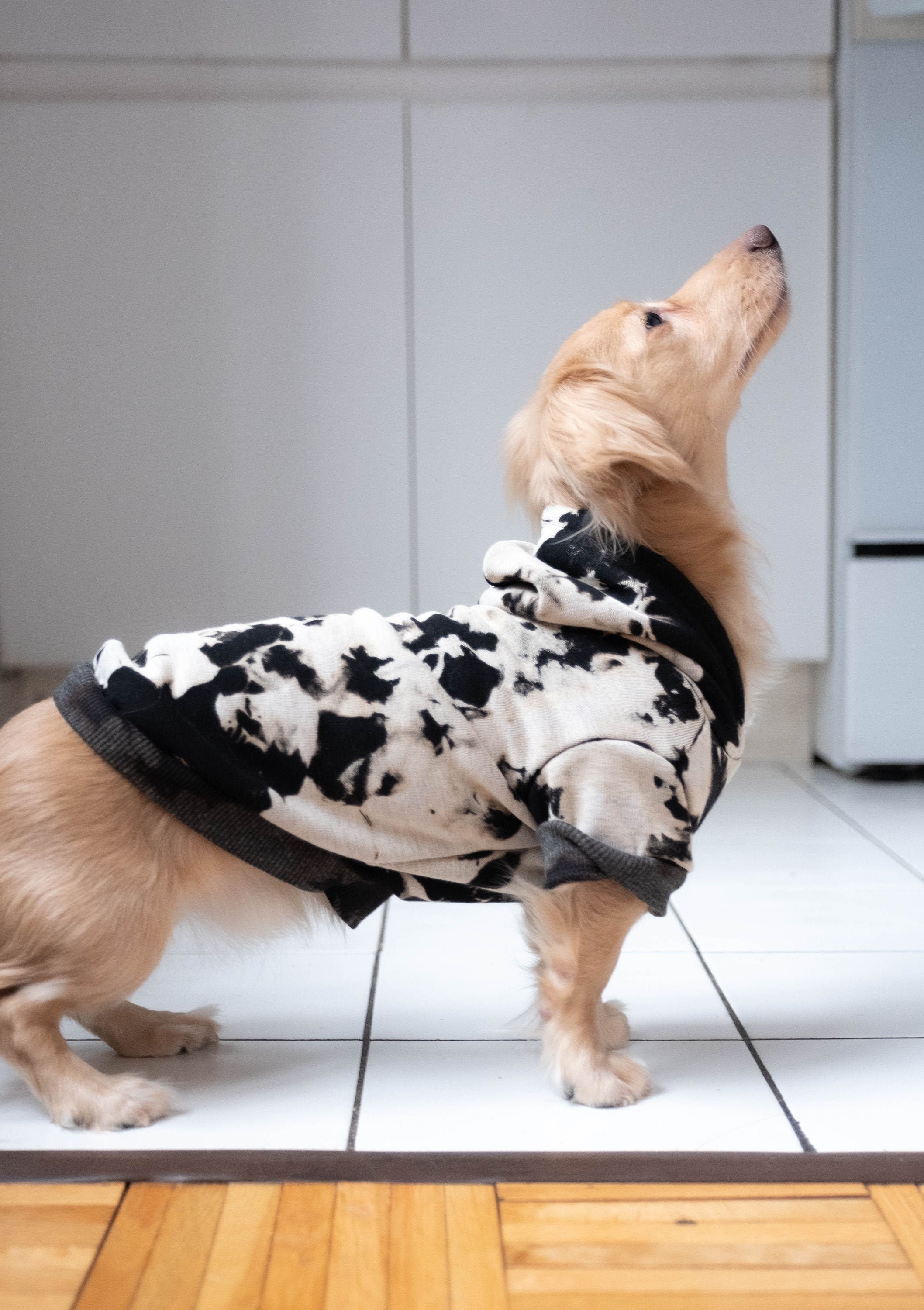 Sweat à Capuche Pour Chien Tie Dye Noir/Blanc