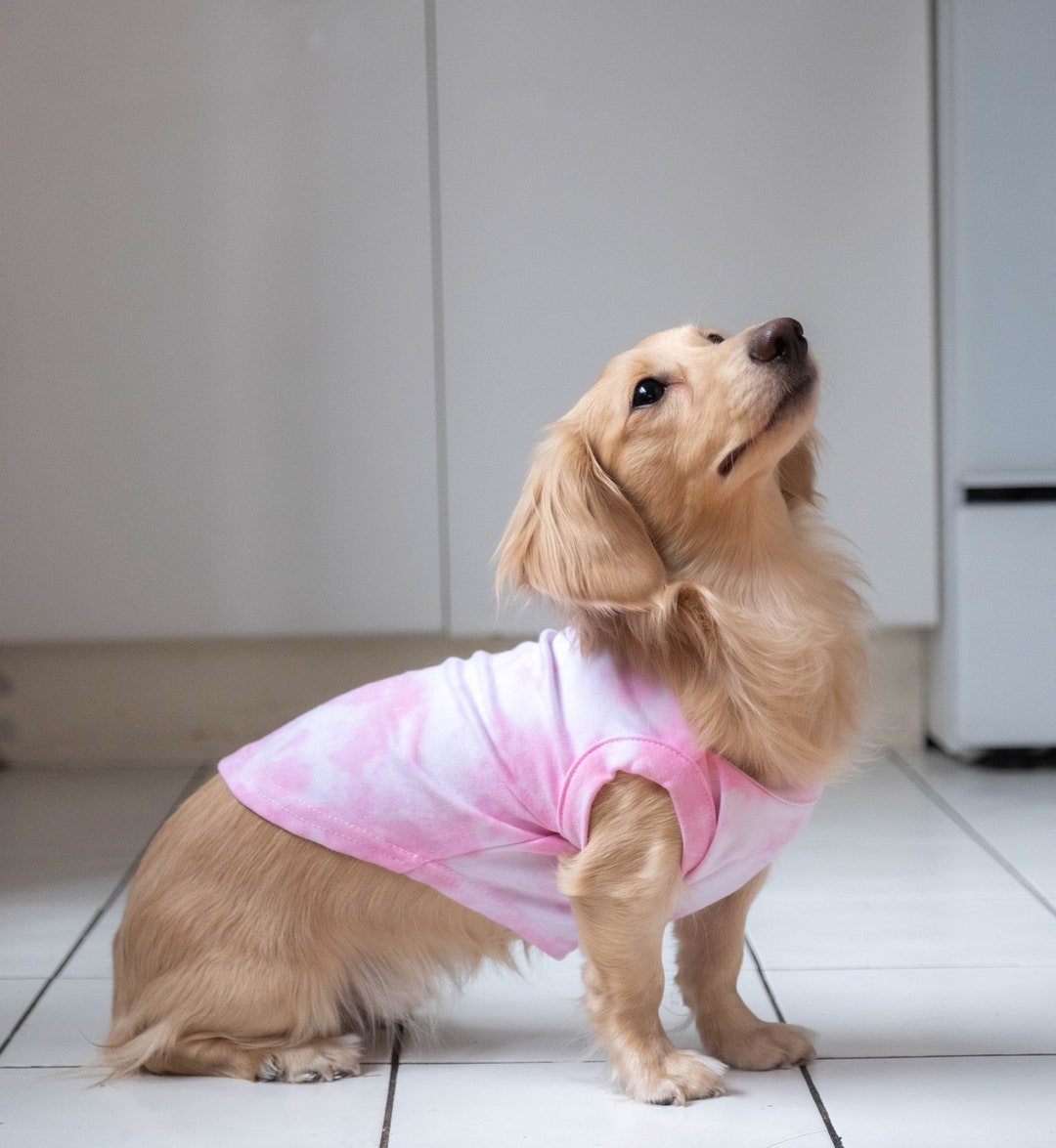 Pink Dog Tshirt Tie Dye Etsy