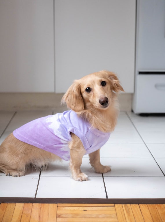 Ombre Purple Dog T shirt Tie Dye Etsy