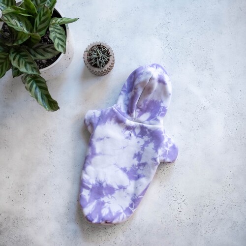Jogger Sweatsuit Set & Dog Hoodie shops (Purple)