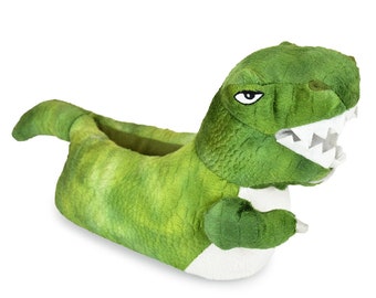 Dinosaur Slippers