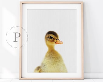 Duckling Print, Nursery Baby Animal Wall Art, Farm Decor, Farmhouse Printable, Instant Digital Download, Baby Duck