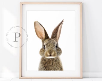 Bunny Rabbit Print, Nursery Wall Art, Woodland Decor, Digital Download, Baby Animal Prints for Nursery, Printable Art