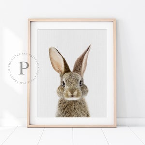 Baby Bunny Print, Bunny Rabbit Print, Nursery Wall Art, Woodland Decor, Digital Download, Baby Animal Prints for Nursery, Printable Art